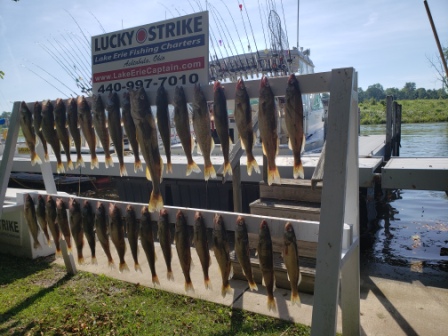 ashtabula fishing shirts